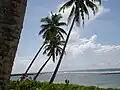 Littoral près du village de Falealupo dans l'ouest de l'île.