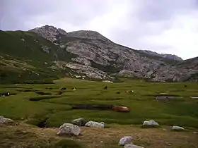 Vue estivale de la Punta Scaldasole depuis les pozzi de Marmano.