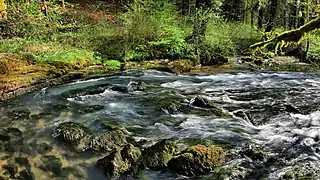 La source du Maine.