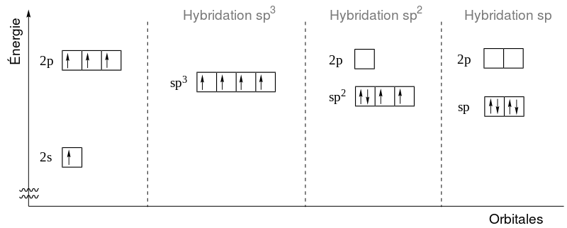 Diagramme décrivant l'hybridation des orbitales 2s et 2p en orbitales sp, sp2 et sp3.