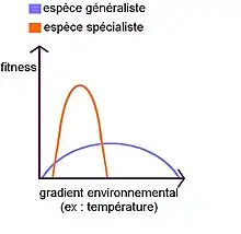 Schéma de la fitness des espèces spécialistes et généralistes en fonction d’un gradient environnemental