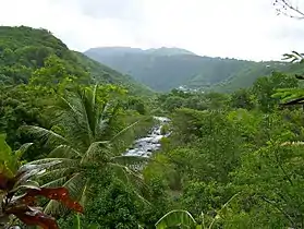 Lieu-dit de Schœlcher et la Grande Rivière des Vieux-Habitants