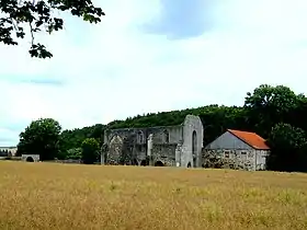 Ruines de l'église abbatiale de Schaaken