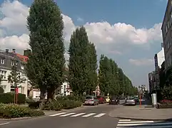 L'avenue des Cerisiers à Schaerbeek.