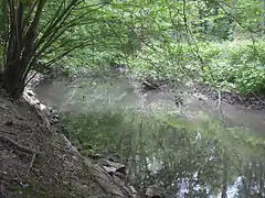 Le Schiffwasser, rivière phréatique.