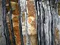 Grès de Kermeur (alternance de bancs de schistes noirs et de quartzites souvent grès psammitiques datant de l'Ordovicien) dans les falaises bordant la plage de Veryac'h