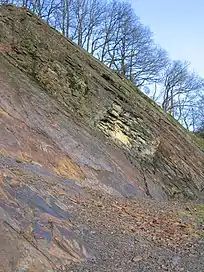 Affleurement de schiste sur le site de la Roche à 7 heures.