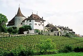 Image illustrative de l’article Château de Cerlier