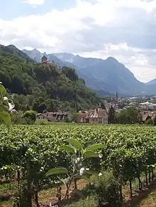 Les vignobles et le château sur les hauteurs de Vaduz