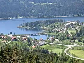 Schluchsee (commune)