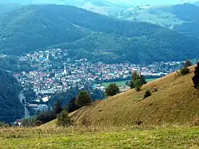 Schönau im Schwarzwald