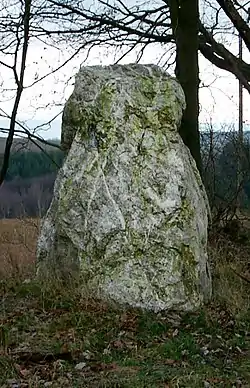 Menhir de Schönberg (2)