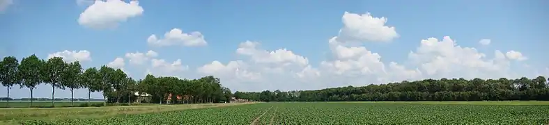 Photographie en couleurs d'un champ longé à gauche par une route et des arbres et par un massif forestier en arrière-plan