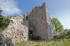 Image illustrative de l’article Château du Schrankenfels