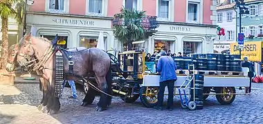 Bierwagen près de la Schwabentor, Fribourg-en-Brisgau, 2016