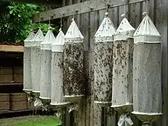 Sacs contenant des essaims, suspendus dans une grange apicole.