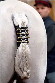 Vue arrière d'une croupe de cheval blanche, avec une queue blanche tressée.