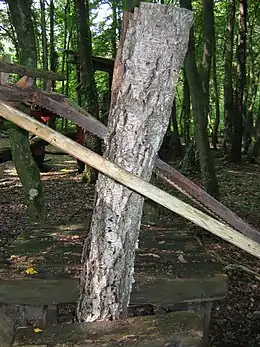 Scie Musée de la forêt.