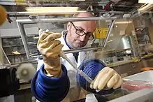 Un scientifique manipule un échantillon radioactif dans une boite à gants.