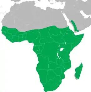 Description de l'image Scopus umbretta distribution map.png.