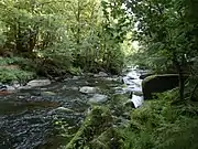 Le Scorff dans la forêt de Pontcallec (chaos rocheux).