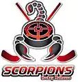 Description de l'image Scorpions hockey Mulhouse.jpg.
