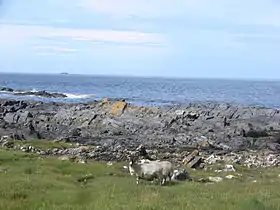 Côte ouest de l'île de Seil