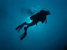 Homme faisant de la plongée sous marine vu de dessous.