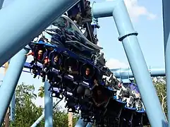 Description de l'image SeaWorld Manta 1.JPG.