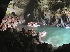 Grotte du Lion de mer (Sea Lion Cave), Florence, Oregon, États-Unis.