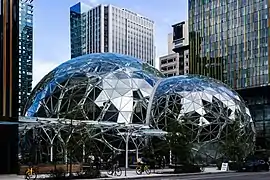 Amazon Spheres.