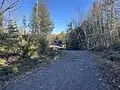 Milieu arbustif et boisé, Shawinigan, chemin du Lac Pratte