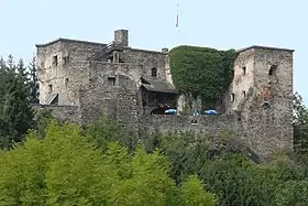 Image illustrative de l’article Château de Sommeregg