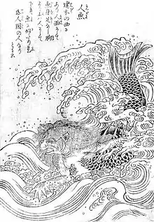 Ningyo (人魚?, « poisson-humain » ou « sirène ») est une créature marine qui est représentée avec une figure humaine et une queue de poisson.
