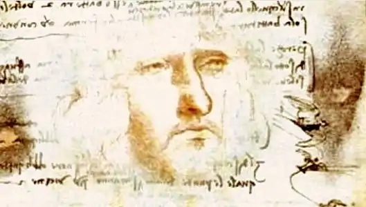 Portrait découvert dans le  Codex sur le vol des oiseaux, augmenté numériquement pour rendre l'image plus visible.
