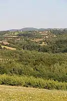 Miličinica - Panorama