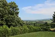 Mrcic - panorama
