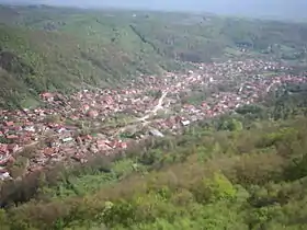 Osanica (Žagubica)
