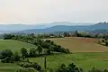 Zlataric village - panorama
