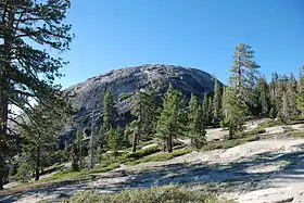 Vue du Sentinel Dome en juillet 2011.