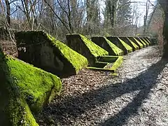 Toblerones de la ligne fortifiée de la Promenthouse en Suisse.