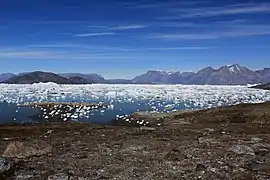 Photographie en couleurs et en vue panoramique d'un fjord aux eaux parsemées de petits blocs d'icebergs et bordé d'une côte échancrée au premier plan.