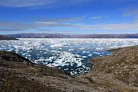 Photographie en couleurs d'un fjord aux eaux parsemées de petits blocs d'icebergs et bordé d'une côte échancrée au premier plan.