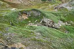 Photographie en couleurs des ruines d'une habitation en pierre situées dans le creux de roches affleurantes recouvertes de lichens.