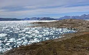 Photographie en couleurs d'un fjord aux eaux parsemées de petits blocs d'icebergs et bordé d'une côte échancrée au premier plan.