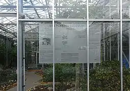 Serre des  plantes succulentes du Jardin botanique de Tourcoing.