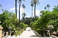 Jardin de l'Alcazar à Seville