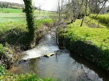 La Seyze marque la limite entre Lamonzie-Montastruc et Queyssac.