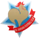 Logo du Shanghai Shenxin