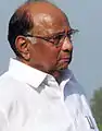 Sharad Pawar, président du Parti du congrès nationaliste.